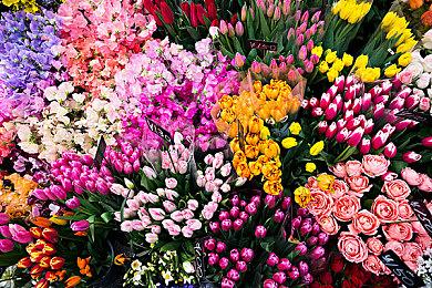 《灵魂骇客2》“林檎”及“菲格”角色PV公布 8月25日发售