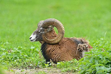 《冲就完事模拟器2》10月23日多平台发售  好评解压继续